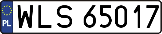 WLS65017