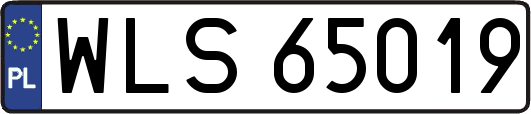 WLS65019