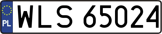 WLS65024