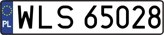 WLS65028