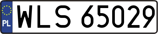 WLS65029