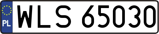 WLS65030