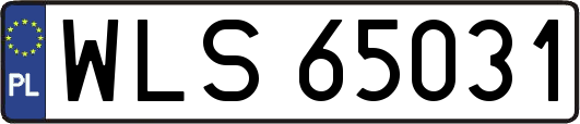 WLS65031