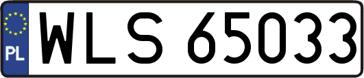 WLS65033