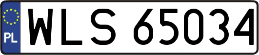 WLS65034
