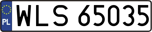 WLS65035