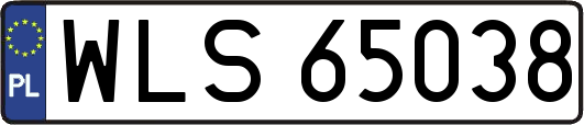 WLS65038