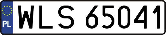 WLS65041