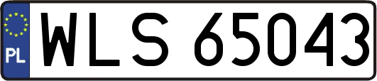 WLS65043