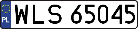 WLS65045