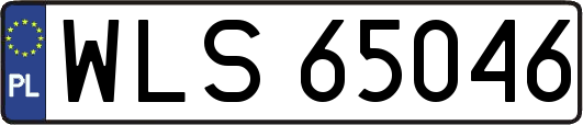 WLS65046