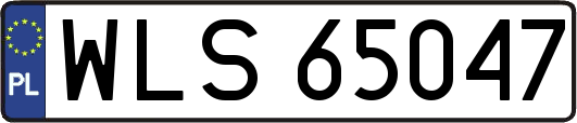WLS65047