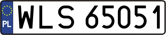 WLS65051