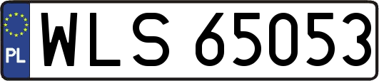 WLS65053