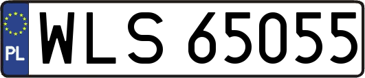 WLS65055