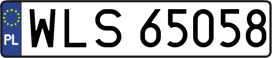 WLS65058
