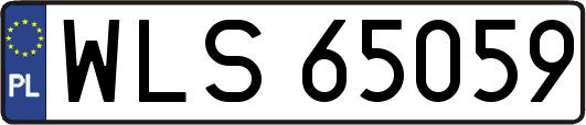 WLS65059
