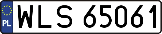 WLS65061