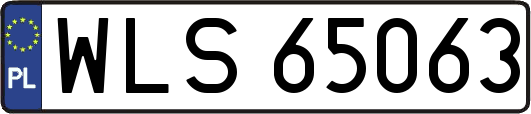 WLS65063