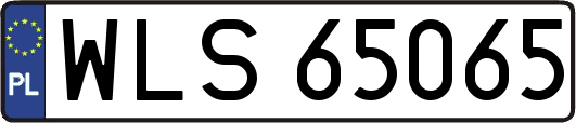 WLS65065