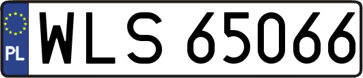 WLS65066