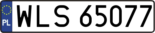 WLS65077