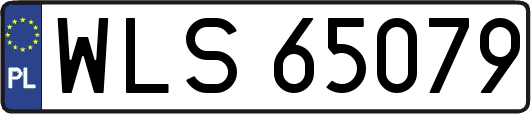 WLS65079