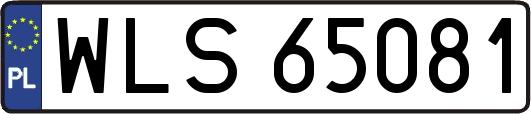 WLS65081