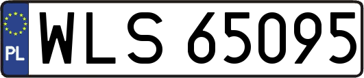 WLS65095