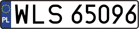 WLS65096