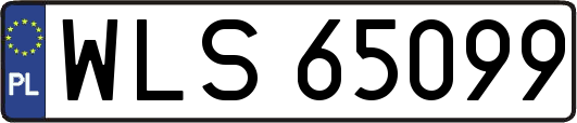 WLS65099