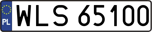 WLS65100