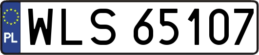 WLS65107