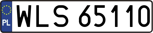 WLS65110