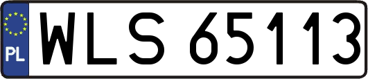 WLS65113
