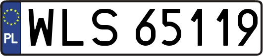 WLS65119