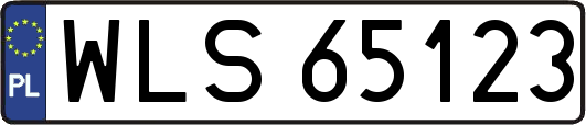 WLS65123