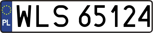 WLS65124