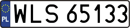 WLS65133