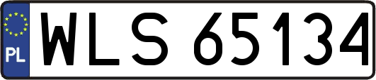 WLS65134