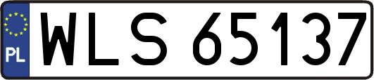 WLS65137