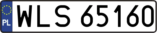 WLS65160