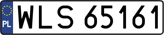 WLS65161