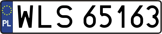 WLS65163