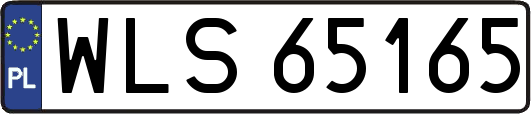 WLS65165