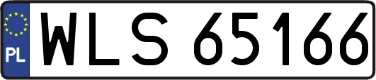 WLS65166