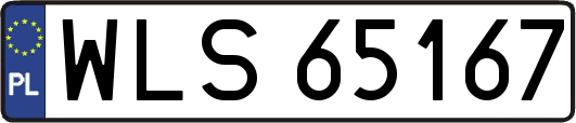 WLS65167