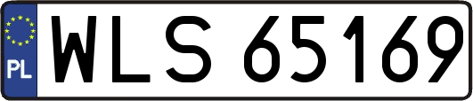 WLS65169