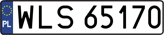 WLS65170