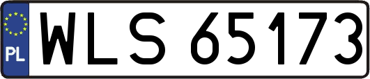 WLS65173